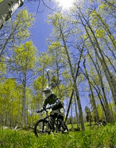 Winter Park Mountain Biking Events